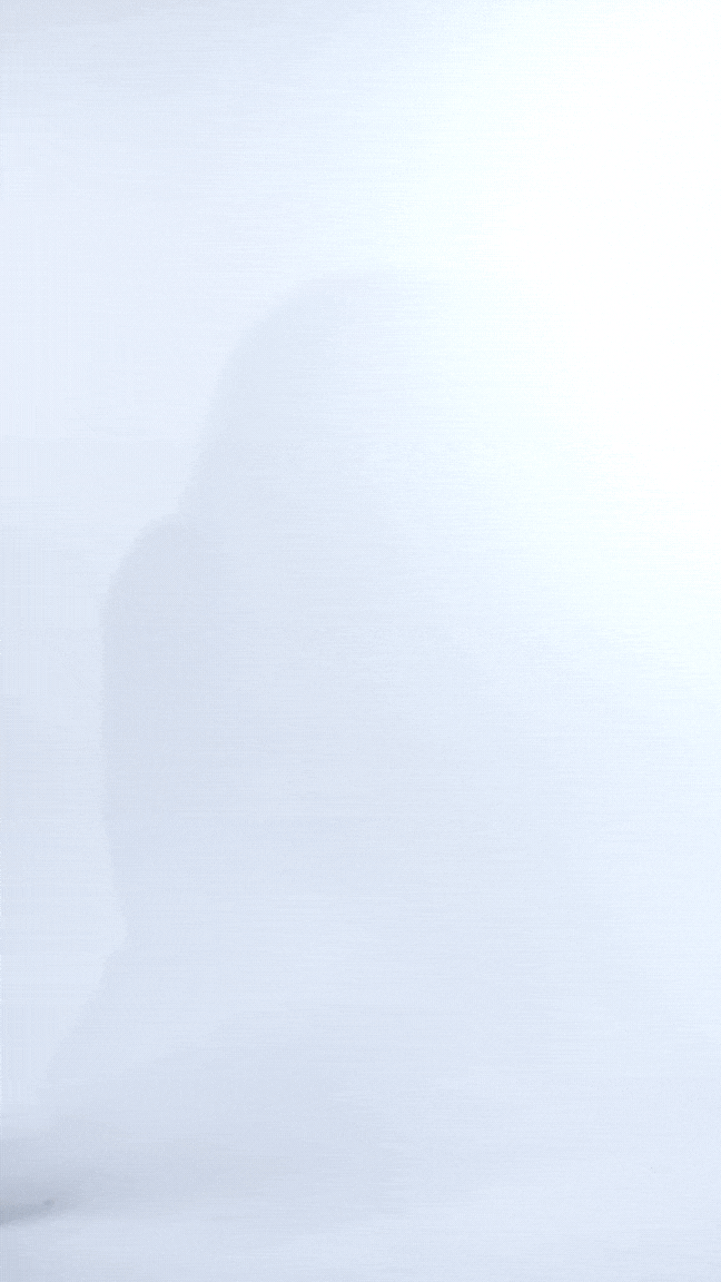 HARLOW BLACK PUSH UP bodis