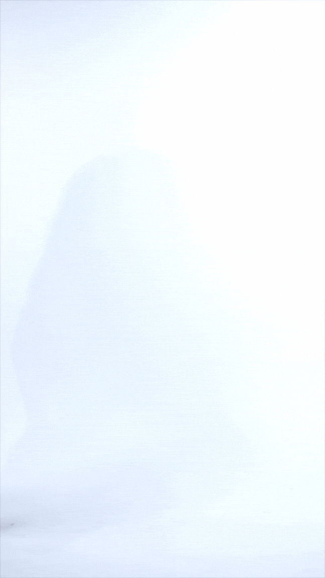 HARLOW WHITE PUSH UP bodis