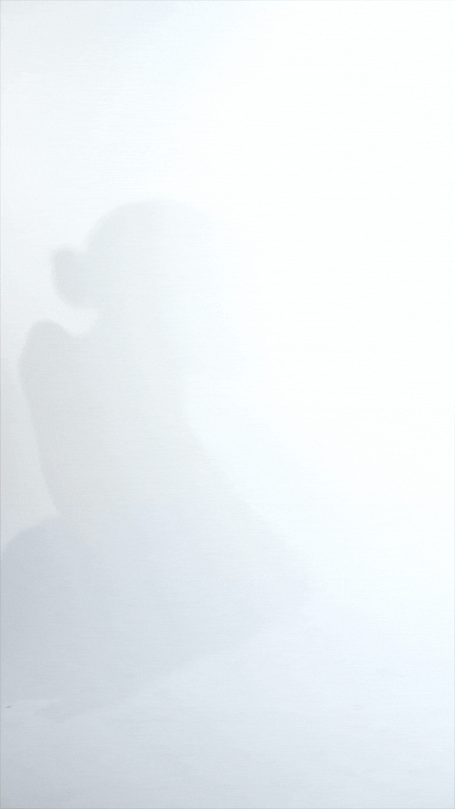 GRISELLA WHITE liemenėlė