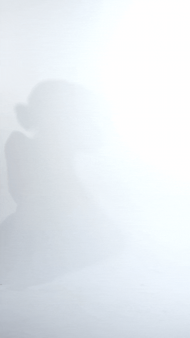 SIMONA WHITE kelnaitės